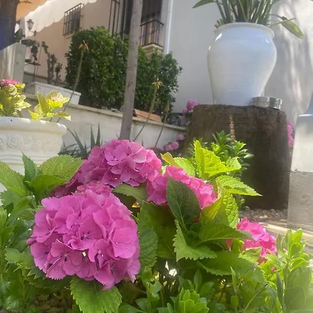 Casa Encinares Córdoba
