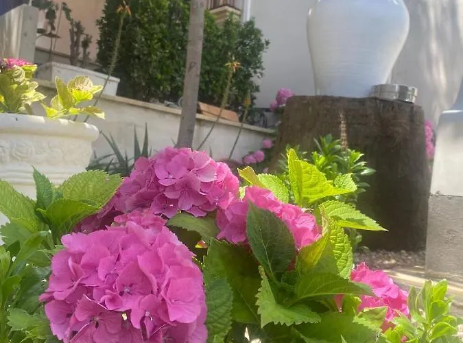 Casa Encinares Córdoba