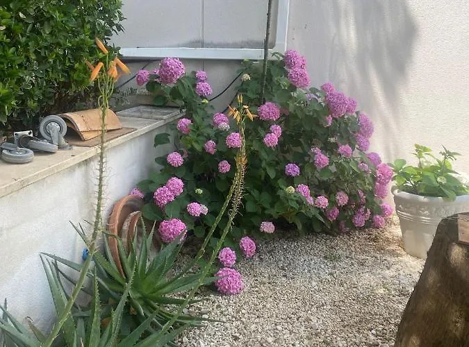 בית נופש Casa Encinares קורדובה